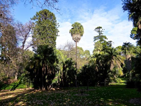 Adelaide Botanic Garden